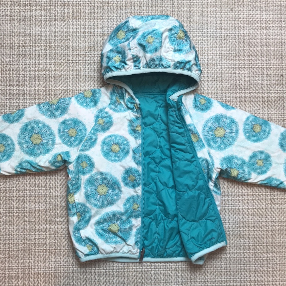 Patagonia Reversible Jacket
